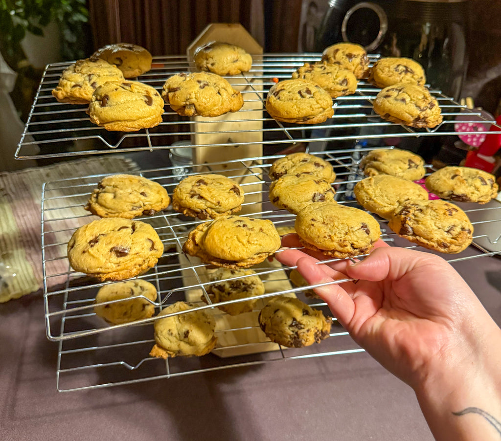 Portable Version of JADE Lid Grid